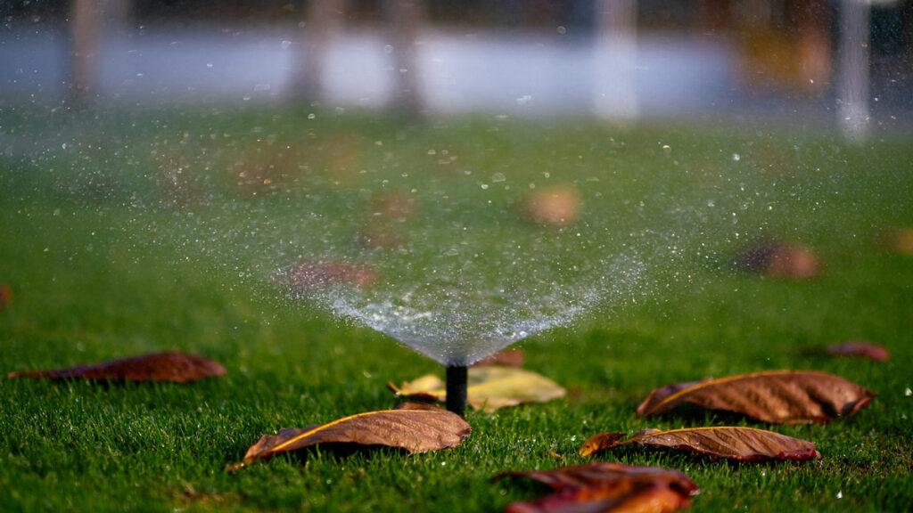Close-up of a lawn irrigation system sprinkler head spraying water on green grass